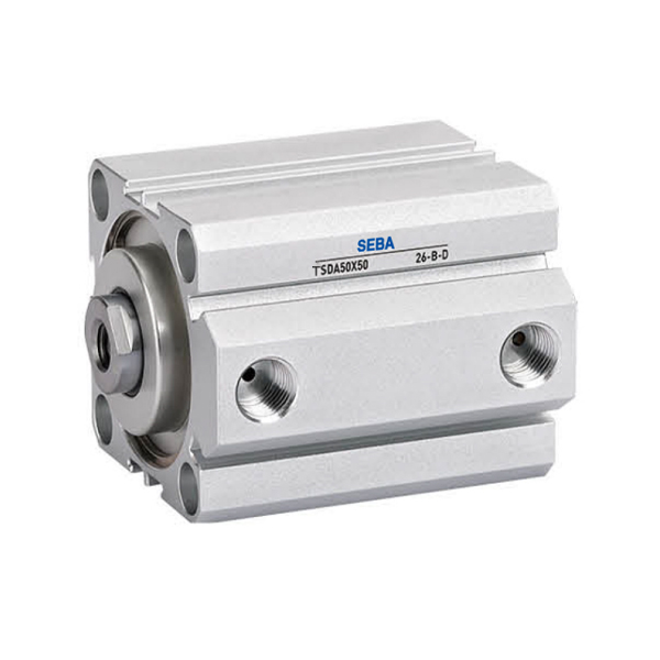 Pneumatic cylinder
