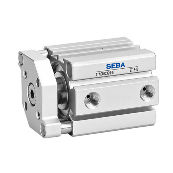 TACQ series - with guide rod type