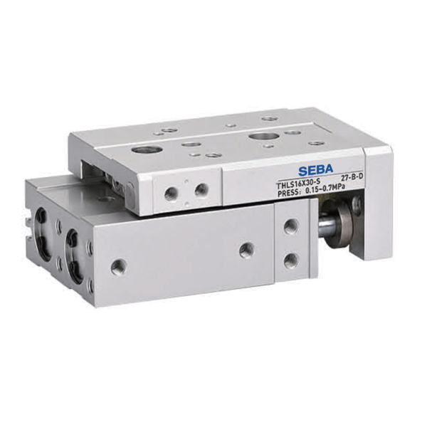 THLS, THLSL series dual axis precision sliding table cylinder (roller type)