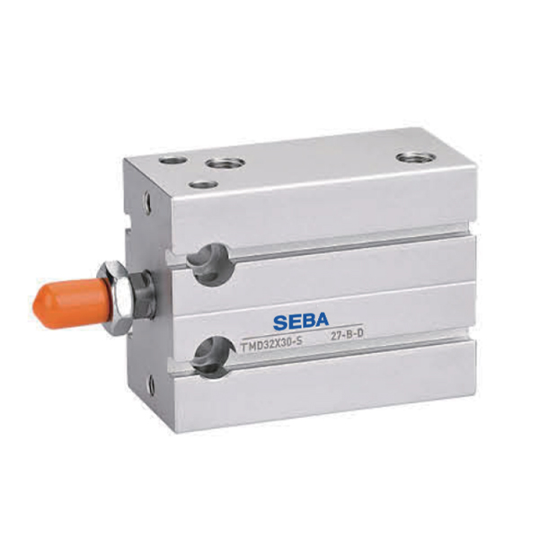 TMD Series Multi-Position Fixed Cylinder