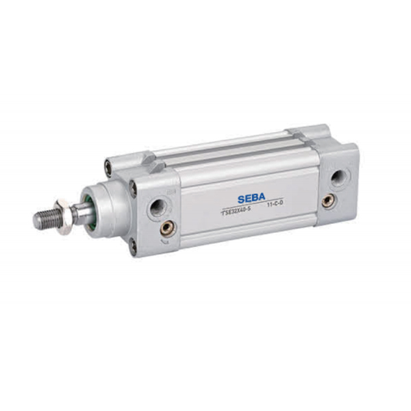 TSE series standard cylinder